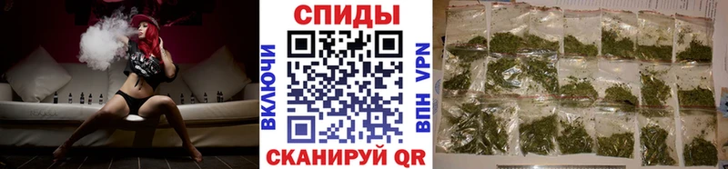 где продают   Мураши  Бутират Butirat 