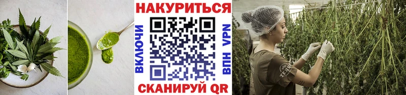 Cannafood марихуана Мураши