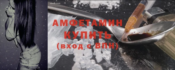 крисы Медвежьегорск