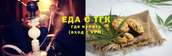 шишки Ельня