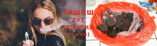 шишки Ельня