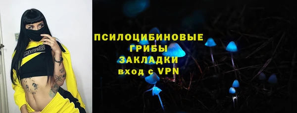 крисы Медвежьегорск