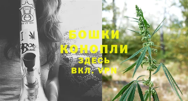сатива Михайловск