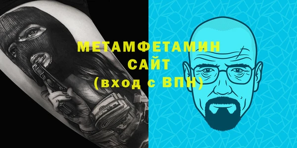 шишки Ельня