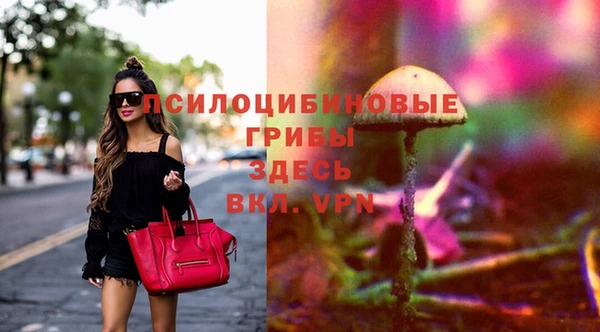 соль курить ск Михайловка