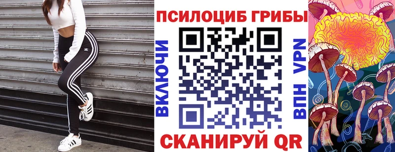 Галлюциногенные грибы мицелий Мураши